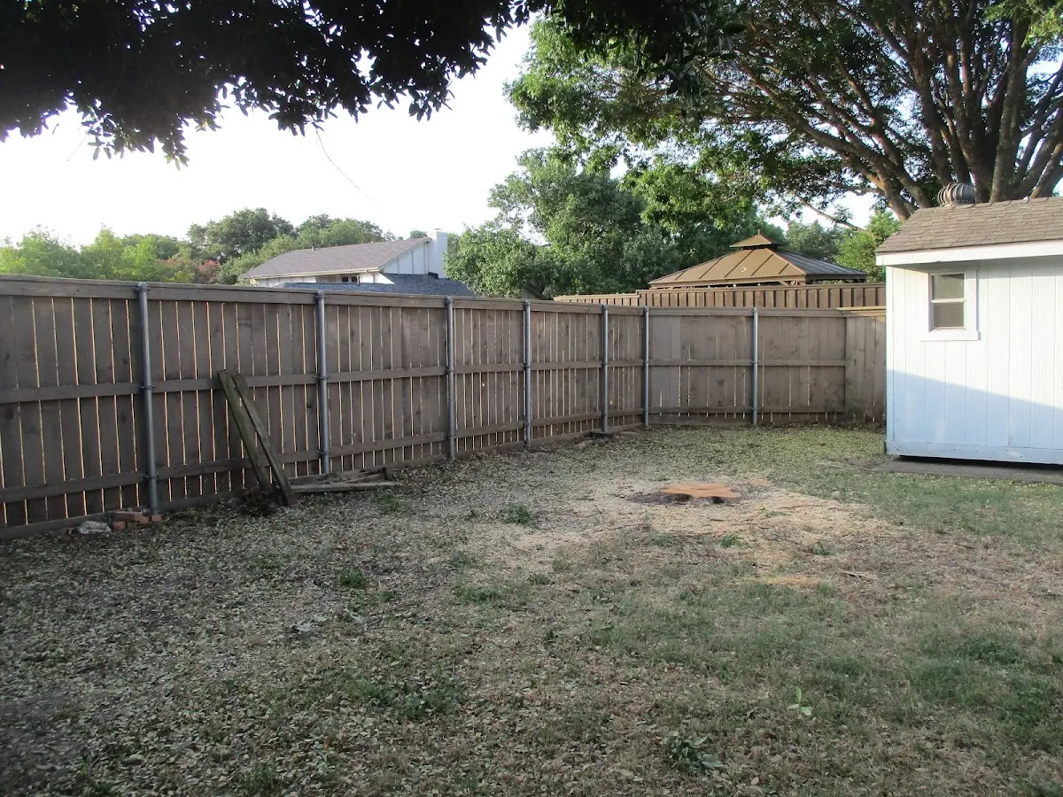 Cleared yard after professional tree removal in Ruso